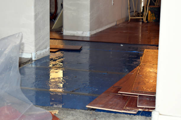 Professional Water Damage Restoration technician working in New Haven, WV
